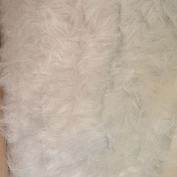 Pelo Lungo Bianco